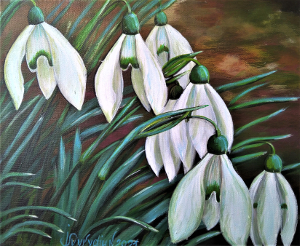 Cluster of snowdrop flowers 300.0x246.0 px