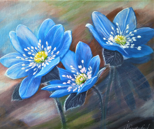 Flowers  Hepatica 300.0x252.0 px