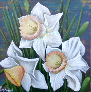 White daffodils 300.0x303.0 px