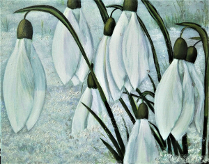 Snowdrop 300.0x236.0 px