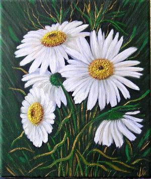 Chamomile 3 300.0x357.0 px
