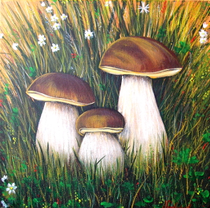 Mushrooms for dad 300.0x297.0 px