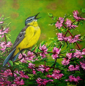 Morning bird 300.0x302.0 px