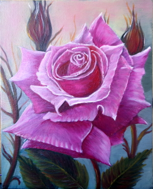 A lonely rose 300.0x372.0 px