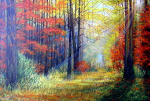 Morning in the autumn forest 300.0x202.0 px