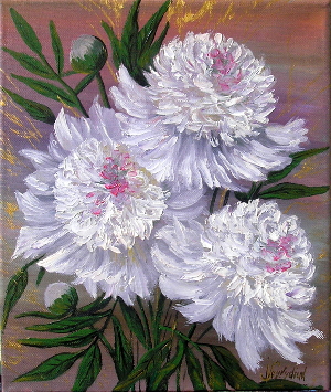 Peonies 300.0x355.0 px