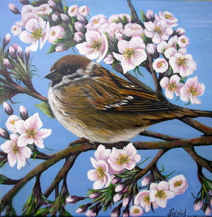 Sparrow 300.0x307.0 px
