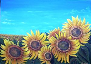 Ukrainian sunflowers 300.0x212.0 px