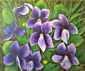 Violets 300.0x249.0 px