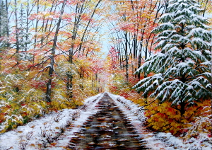 Unexpected snow 300.0x212.0 px