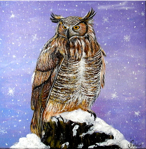 Owl 300.0x307.0 px
