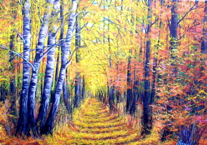 Autumn colors 300.0x211.0 px
