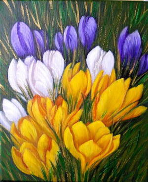 Crocuses 300.0x368.0 px