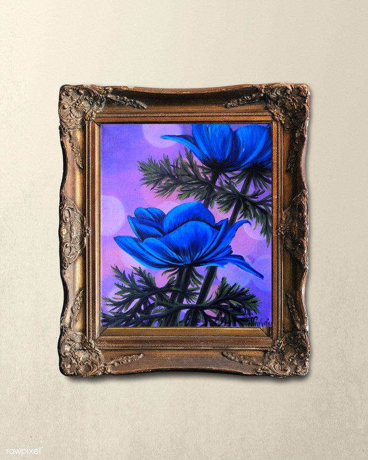 Blue anemone 2