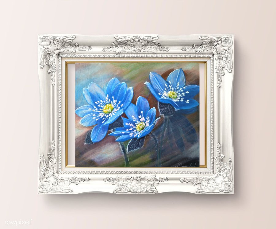 Flowers  Hepatica