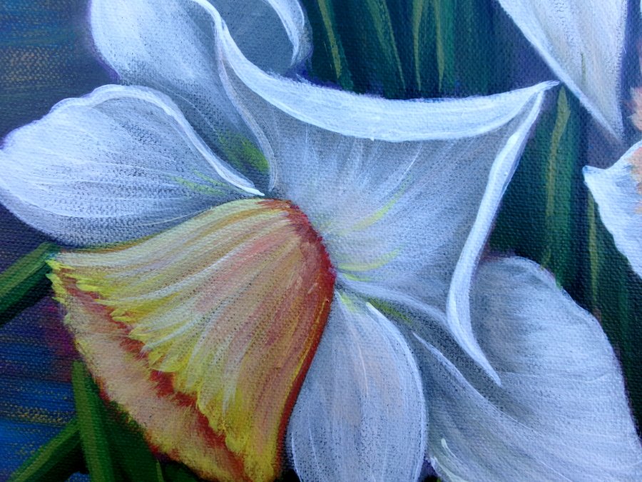 White daffodils
