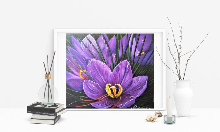 Purple crocuses