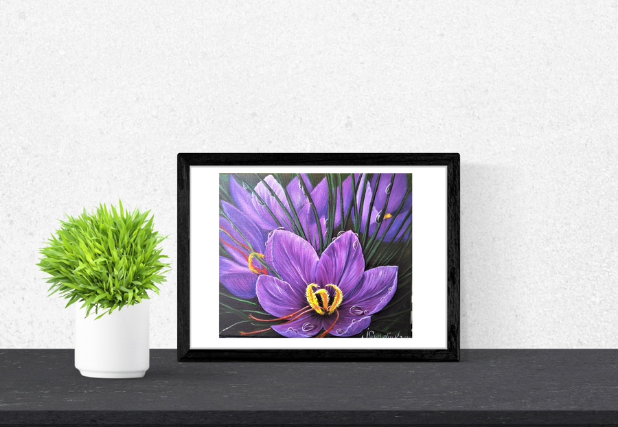 Purple crocuses