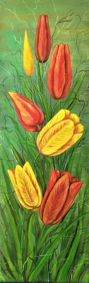 Tulips