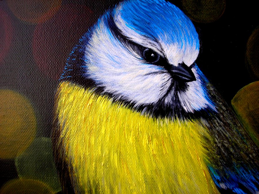 Tit in the mountain ash
