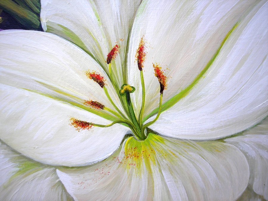 White lilies