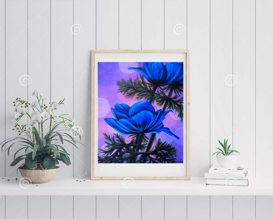 Blue anemone 2