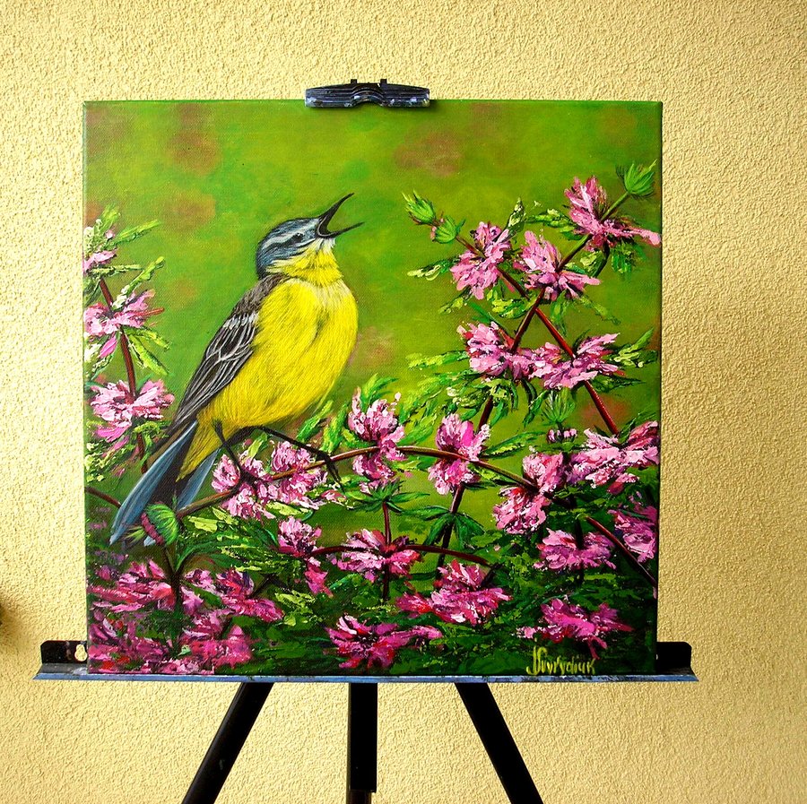 Morning bird