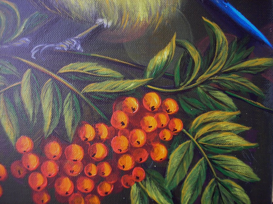 Tit in the mountain ash