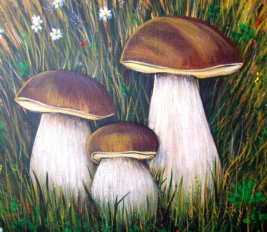 Mushrooms for dad