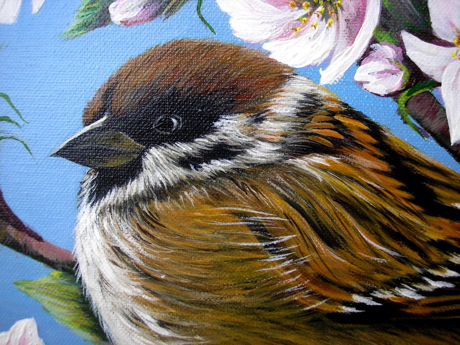 Sparrow