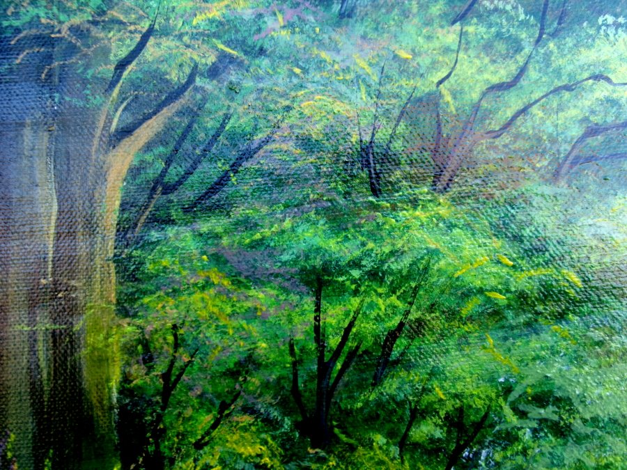 Morning in the forest