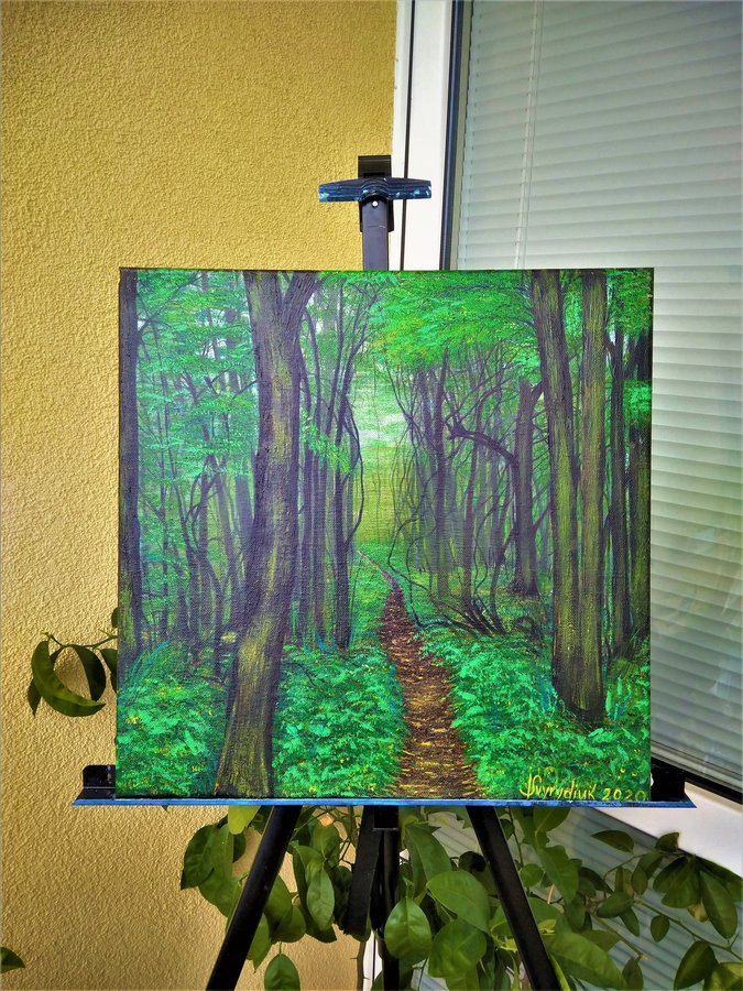 Evening in the woods