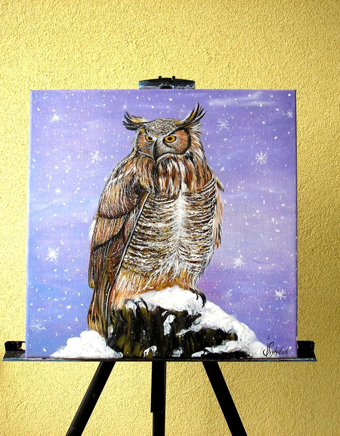 Owl