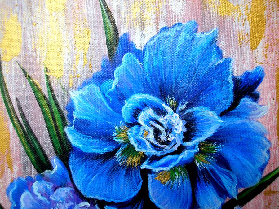 Iris