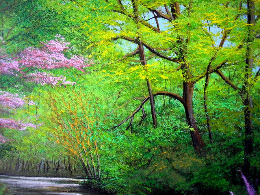 Spring forest
