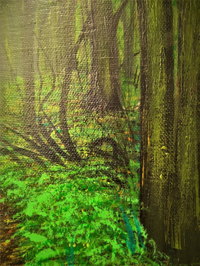 Evening in the woods