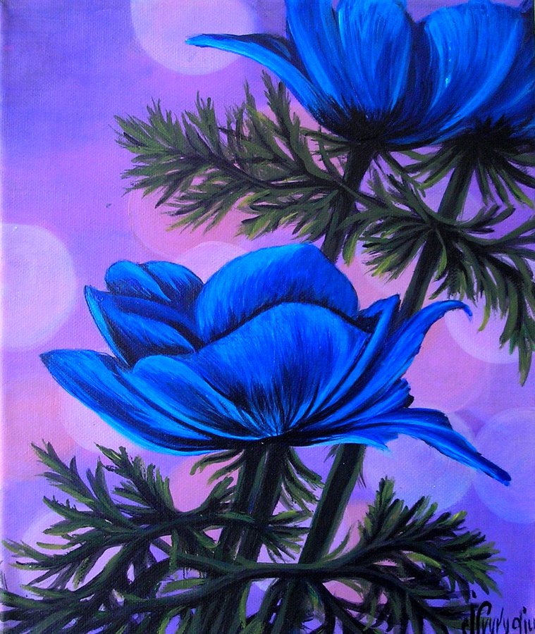 Blue anemone 2