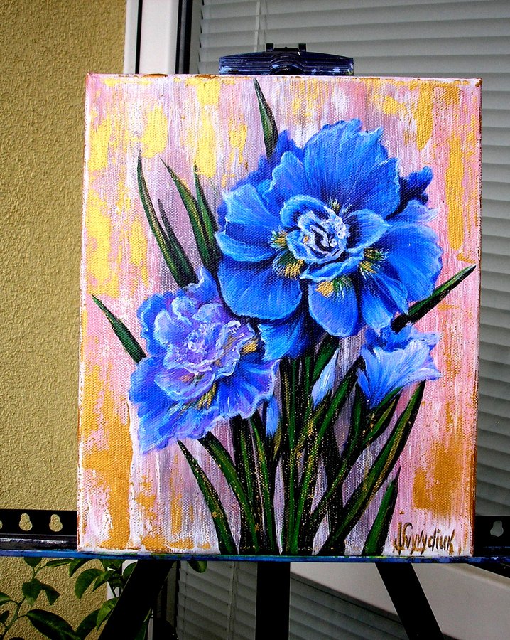 Iris