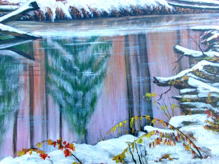 Winter in the  forest