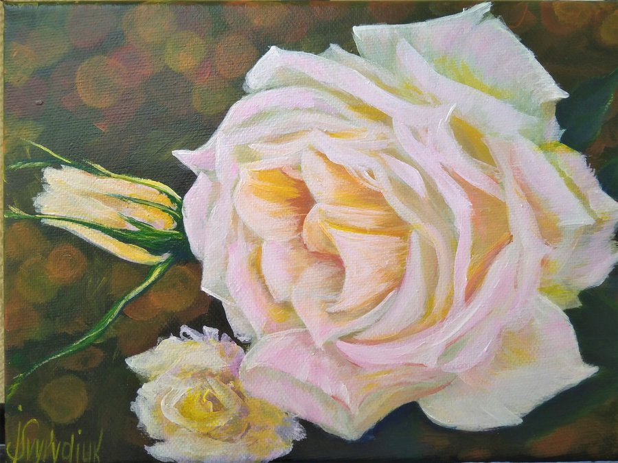 White rose