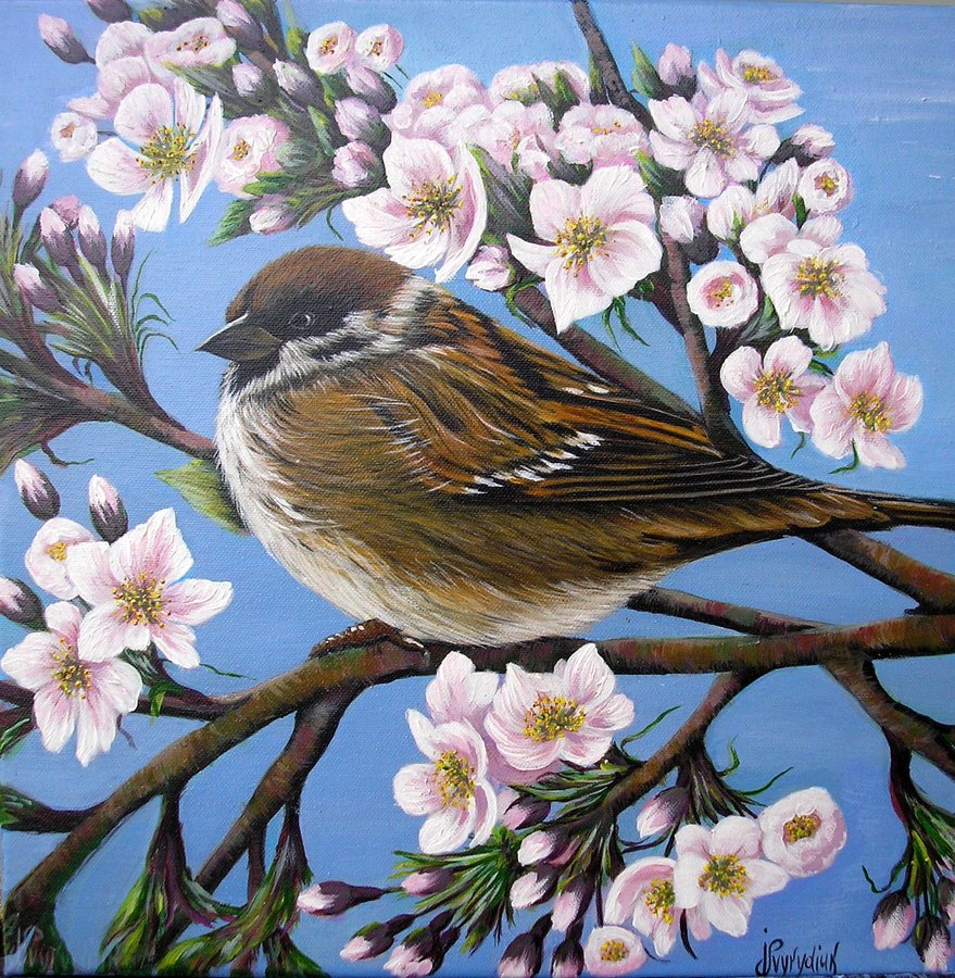 Sparrow