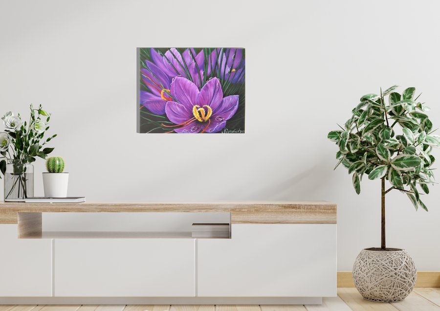 Purple crocuses