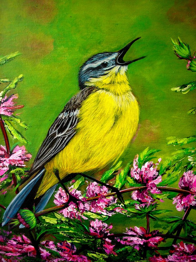 Morning bird