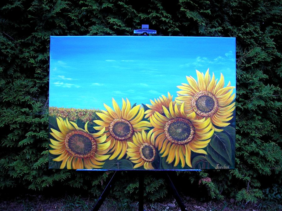 Ukrainian sunflowers