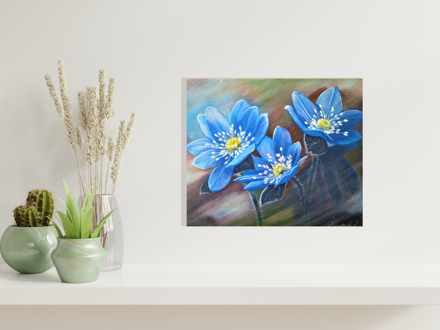 Flowers  Hepatica