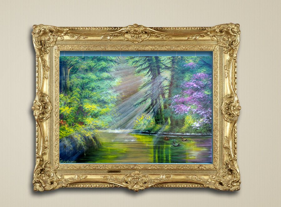 Morning in the forest
