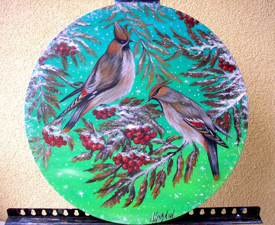 Waxwing  birds