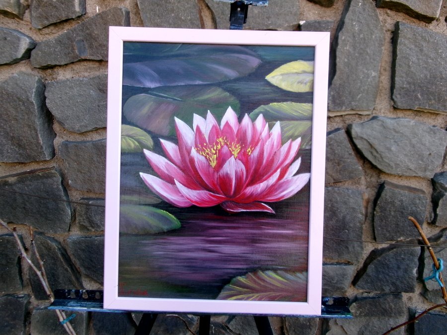 Water lilies