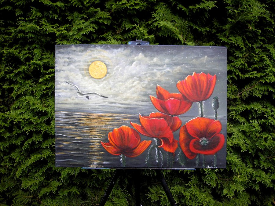 Evening poppies