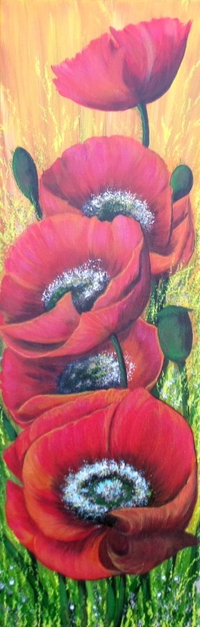 Red poppies